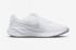 Nike Revolution 7 White Pure Platinum FB2207-100