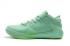 Nike Zoom Freak 1 Mintgroen basketbalschoenen BQ5422-310