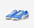 Puma Arizona Nylon 398682-01 Gray Vapor Bluemazing