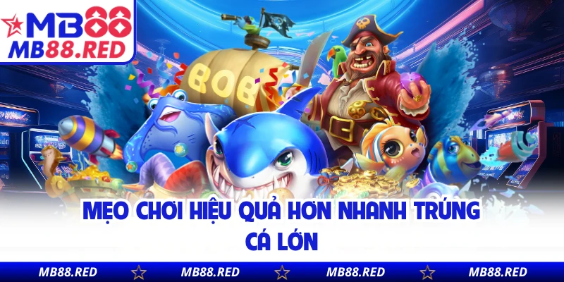Mẹo chơi hiệu quả hơn nhanh trúng cá lớn