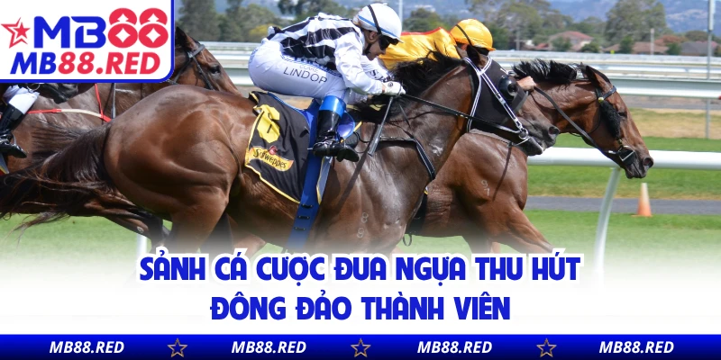 Sảnh cá cược đua ngựa thu hút đông đảo thành viên